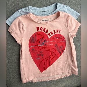Set of 2 Gymboree toddler girl T-shirts